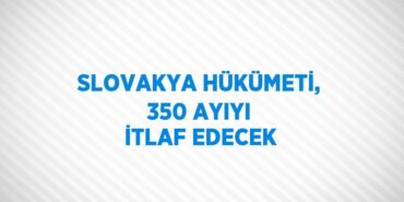 23808222123022920830tasarimli