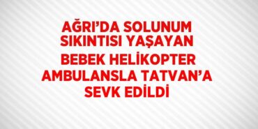 23812215392130631233tasarimli