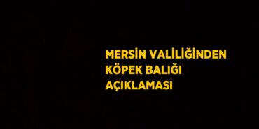 23812231842712431866