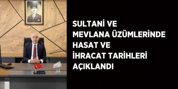 SULTANİ VE MEVLANA ÜZÜMLERİNDE HASAT VE İHRACAT TARİHLERİ AÇIKLANDI