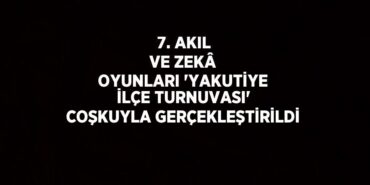 23822317713141324369tasarimli