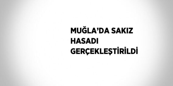 MUĞLA’DA SAKIZ HASADI GERÇEKLEŞTİRİLDİ