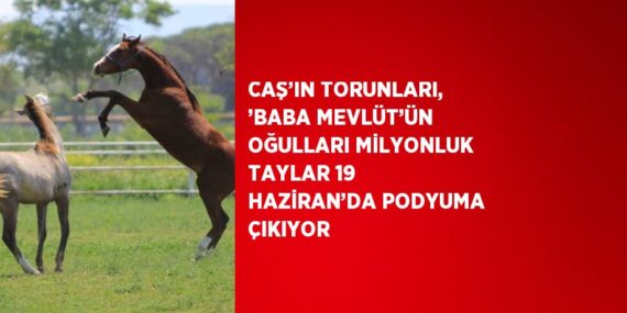 CAŞ’IN TORUNLARI, ’BABA MEVLÜT’ÜN OĞULLARI MİLYONLUK TAYLAR 19 HAZİRAN’DA PODYUMA ÇIKIYOR