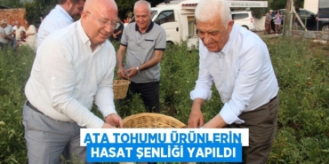 23828250942291022223tasarimli