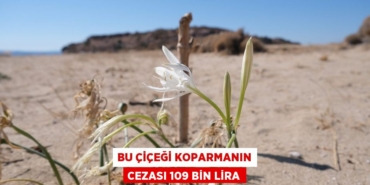 23832242692685821920tasarimli