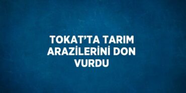 23834224902575625109tasarimli