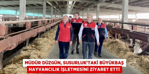 MÜDÜR DÜZGÜN, SUSURLUK’TAKİ BÜYÜKBAŞ HAYVANCILIK İŞLETMESİNİ ZİYARET ETTİ