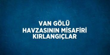 23836248403190029575tasarimli