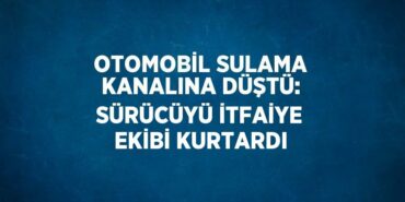 23838228672775030241tasarimli