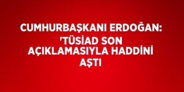 23840276073083528267tasarimli