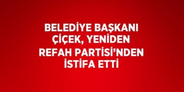 23842205533018420752tasarimli