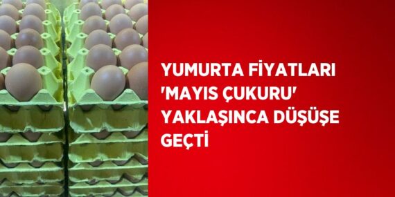 YUMURTA FİYATLARI ‘MAYIS ÇUKURU’ YAKLAŞINCA DÜŞÜŞE GEÇTİ