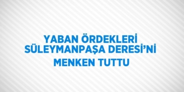 23848311272385820034tasarimli