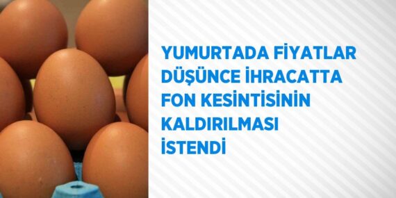 YUMURTADA FİYATLAR DÜŞÜNCE İHRACATTA FON KESİNTİSİNİN KALDIRILMASI İSTENDİ