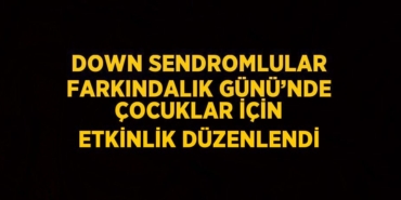 23864213832299125461tasarimli