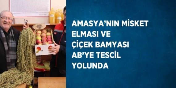 AMASYA’NIN MİSKET ELMASI VE ÇİÇEK BAMYASI AB’YE TESCİL YOLUNDA