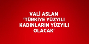 23865273462512426953tasarimli