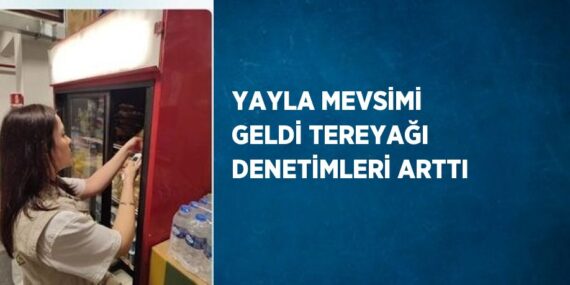 YAYLA MEVSİMİ GELDİ TEREYAĞI DENETİMLERİ ARTTI