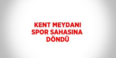 23869265932459729851tasarimli