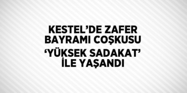 23874310452535824937tasarimli