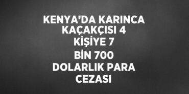 23877279073040131821tasarimli
