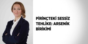 23880262642534225765