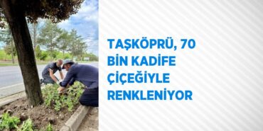 23882252492220329417