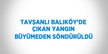23883217052750326390tasarimli