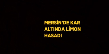 23883217962839422350