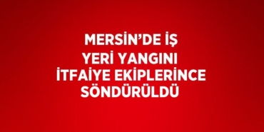 23890303032291331233tasarimli