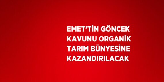 EMET’TİN GÖNCEK KAVUNU ORGANİK TARIM BÜNYESİNE KAZANDIRILACAK