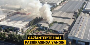 23908213612038625263tasarimli