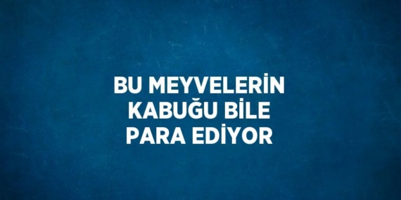 BU MEYVELERİN KABUĞU BİLE PARA EDİYOR
