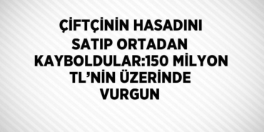 23929267632309429414tasarimli
