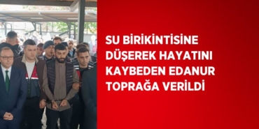 23931238072611723952