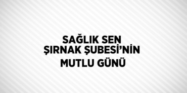 23931256342685022573tasarimli