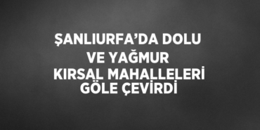 23933234902343728222tasarimli