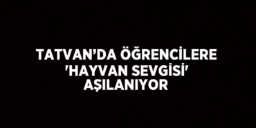 23935263283107931497tasarimli