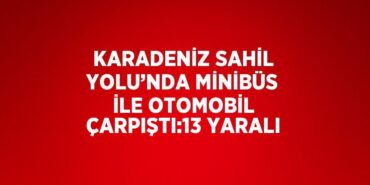 23940239232054726208tasarimli