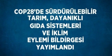 23942282762309330784tasarimli