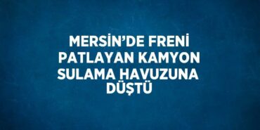 23948297302546528541tasarimli