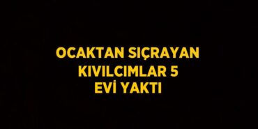 23949280492122128920tasarimli