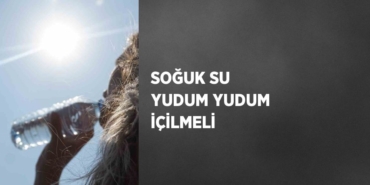 23950237492266621907