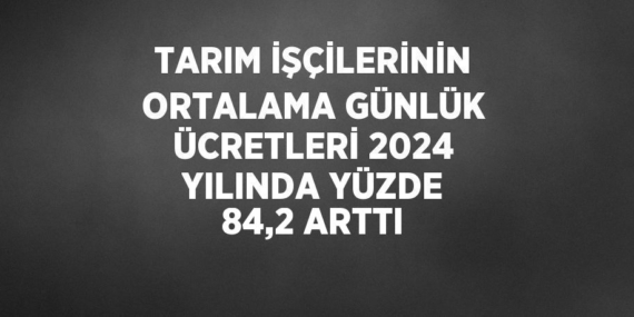 TARIM İŞÇİLERİNİN ORTALAMA GÜNLÜK ÜCRETLERİ 2024 YILINDA YÜZDE 84,2 ARTTI