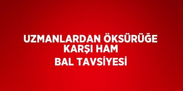 23950287182569627548tasarimli