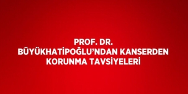 23954319332375925166tasarimli