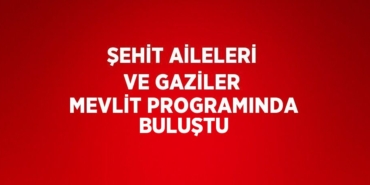 23959201762804229039tasarimli