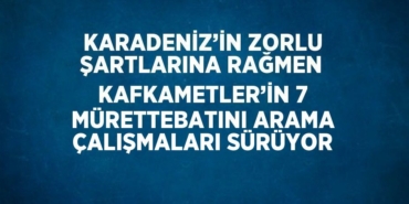 23959247493125227712tasarimli