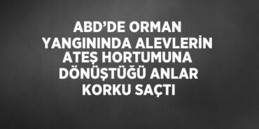 23961241362459930692tasarimli