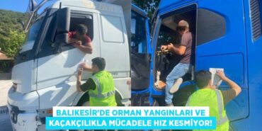 23965211372531226131tasarimli